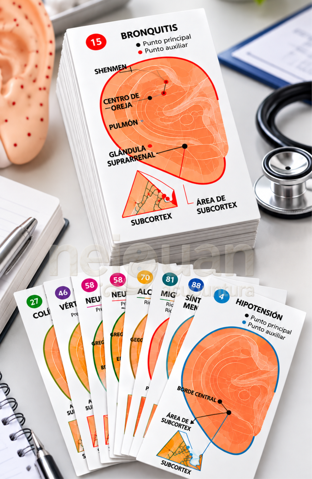 TARJETAS DIDÁCTICAS DE ENTRENAMIENTO PARA AURICULOTERAPIA ** NUEVA EDICIÓN 2026 **