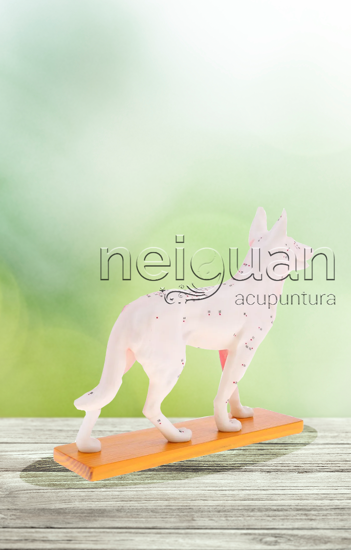 Neiguan Material de Acupuntura; Material para acupuntura; material de acupuntura, Acupuntura; Neiguan