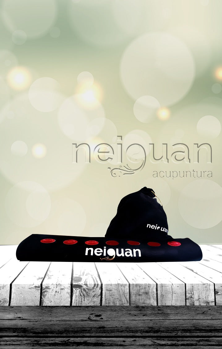 TAPETE MAGNÉTICO MAGNETIC RUG NEIGUAN