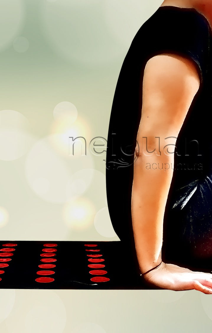 TAPETE MAGNÉTICO MAGNETIC RUG NEIGUAN