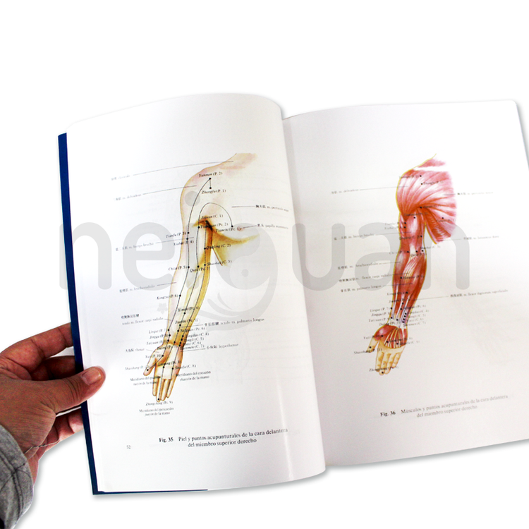 Neiguan Material de Acupuntura; Material para acupuntura; material de acupuntura, Acupuntura; Neiguan